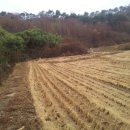 흥산농장 이미지