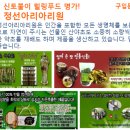 정선아리아리원 이미지