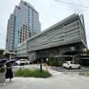 스테이도란 이미지