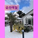 그집글라 | 제주도 애월 펜션 숙소 게하 글라애월 아이들과 반려견과 함께하기 좋은 공간
