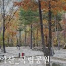 용하공원 화장실 이미지