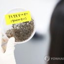 선유3배수펌프장 연합뉴스
