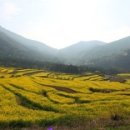 남해 그곳 이미지