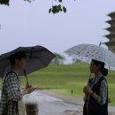 (주)진튜브 이미지