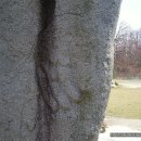 용화사 미륵불 이미지