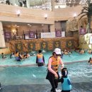 강원도자연환경연구공원 | 홍천 비발디파크 2박3일 일정｜아침부터 서두르면 진짜 꽉 찬 가족여행