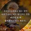 스프링 벅. 씨없는 과일조심.코로나 예방비법. 이미지