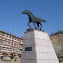 안동고등학교 이미지