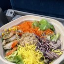 키토래빗