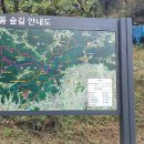 11월11일(토) 계족산둘레길(장동산림욕장~대청호수변공원) 이미지