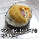 [내돈내산] 양양 낙산사 자매분식 자연산 성게알 유튜브만큼 가성비 좋을까? 포장 솔직후기!