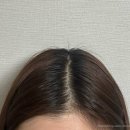 구로역 미용실 추천 이가자헤어비스 NC구로점 / 나영 실장님 브라운 염색 후기