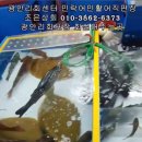 조은자원 | 광안리 회센터 가격 좋은 조은상회 광안리 회포장 맛집 부산 현지인 강추