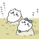 대빵인형뽑기 잠실새내점 | 와츠인마이블로그ㅣ잠실새내 인형뽑기&amp;석촌호수 일몰뷰