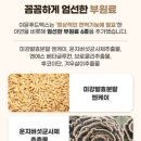 푸드맥스 이미지