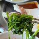 차봄 | 오이도맛집 [큰손회조개구이칼국수] 알이 꽉차있는 봄 제철 쭈꾸미샤브샤브 솔직후기