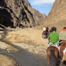 6일 식당 이미지