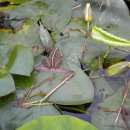 조준농장 이미지