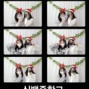 신백중학교 이미지