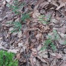 배씨농장 이미지