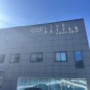 천연소재의 프리미엄 침대 「리브베터」 쇼룸 후기