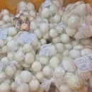 친환경공공급식생산자협동조합 | 서울시 학교급식 친환경농산물유통센타 -자연과 농부들 소분장에서