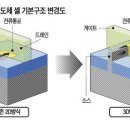 엘피다