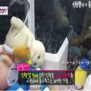 인형뽑기왕 이미지