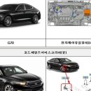에프씨에이 이미지