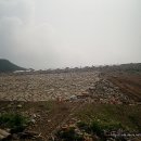 장수...양악탑