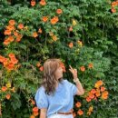 뚝섬한강공원-93 이미지