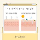 원주 문화약국 | 피부 회복 도와주는 약국진정크림, 리쥬비넥스
