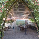 신털뫼1 이미지