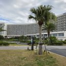 수훈농장 | 오키나와 힐튼 세소코 리조트 숙박 후기 1편! 다섯 번째 오키나와, 이제는 한 호텔에 머무는 여행