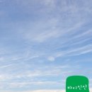 바이신산 이미지