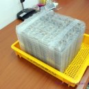 에스에이치테크 이미지