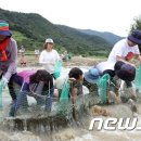 죽곡천 이미지