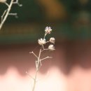 소호의원 이미지