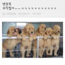 월 이미지