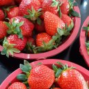 수곡목장 이미지