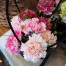 피아노숲 이미지