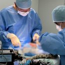 개와고양이 반려동물원 이미지