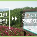 침앤뜸한의원