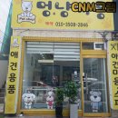 멍냥싸롱 이미지