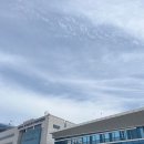 씨유 서구중앙점 | 23&#39;가을 1박2일 대전여행 : 성심당투어, 대전시립미술관, 이응노미술관, 대전 공공 자전거 타슈, 엑스포...