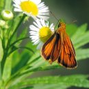 모둘자리 이미지