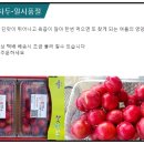 광전농원