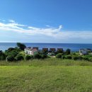 애酒애人 이미지