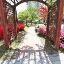 샤인공인중개사사무소 이미지