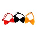 코디애견샵 이미지